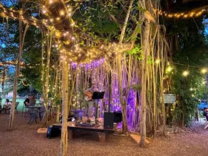 Banyan Tree - Image 5