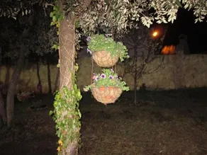 Casa Sul Mare - Image 4