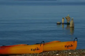 Beach Log Home - Image 4