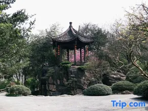 Fengxiangyuan Holiday Hotel - Image 4