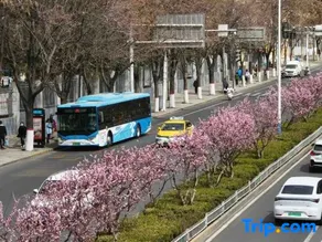 Lanzhou Lanyuehe Business Hotel (Lida Auto Parts City) - Image 4