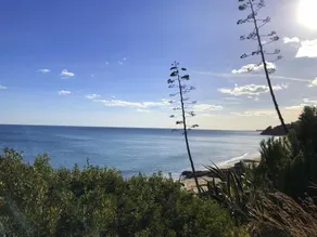 Rentalmar Horizon - Image 2