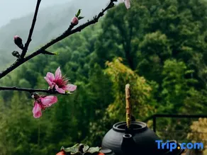 Tian Fang Ye Tan Boutique Hostel - Image 3
