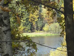 Feriendorf Glasgarten - Image 5