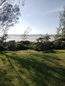 Natureza a beira mar - Image 2