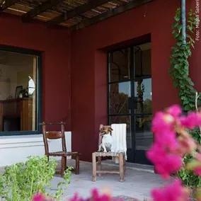 El Ombu - Image 4