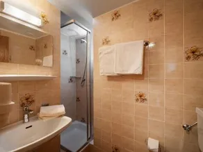 Apartment-Pension Schmiedererhof - Image 4