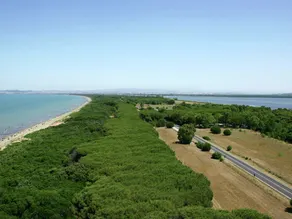 Modern Holiday Home in Giannella Italy with Private Garden - Image 4