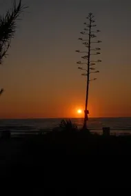 Lollas Studio 1 Acharavi Corfu - Image 4