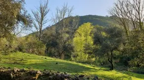 El Refugio De Los Molinos - Image 4