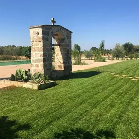 Tenuta Castelle - Image 5