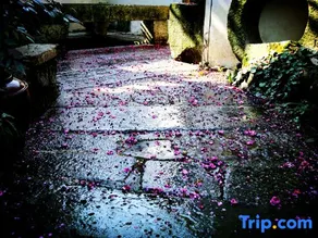 Huangshan ShouShanRuZong Hotel - Image 3