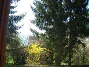 Gartenapartment - Image 4
