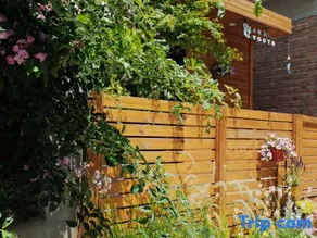 Anyu Andyouth B&B (Shunyi New City Binhe Forest Park Store) - Image 3