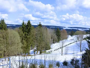 Beautiful Holiday Home In The Thuringian Forest With Fireplace And Whirlpool - Image 2