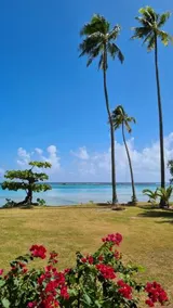 Villa Tiarenui - Image 3