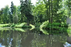 Apartman Krasna Lipa C. 1 - Image 3