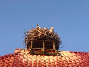 Storchenhof - Image 3