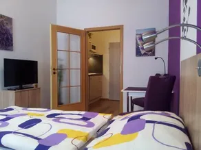 Apartment Centrum Ceske Budejovice - Image 3