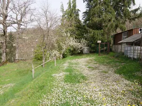 Cozy Holiday Home in Tuscany With Private Garden - Image 3