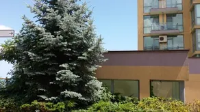 Aparthotel Belvedere - Image 5