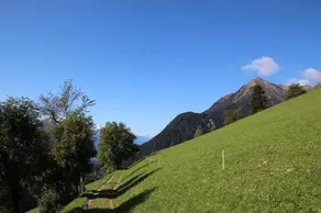 Gasthof Walde - Image 3