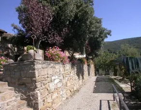 Ciliegio - Image 2