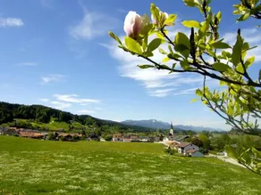 Pension Ramstötter - Image 2