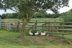 Greenway Farm - Image 4