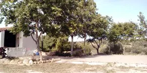 Monte do Rio - Image 4