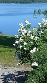 A wonderful house in the lake. - Image 3