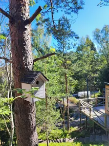 Sea-view Cottage High up in the Trees - Image 4