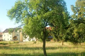 Appartements am Dorfkrug _ Ferienw - Image 4