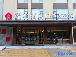 REDISSON Hotel - Image 5