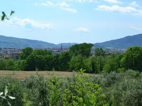 La Casa dei Tarocchi - Image 2
