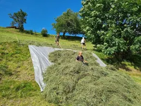 Bauernhof Lentsch - Image 3