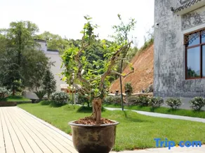 Changlinyuan Hostel - Image 5