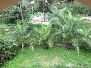 Villa Bonu - Image 3