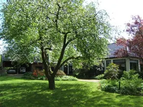 Bed & Breakfast De Hassehof - Image 2