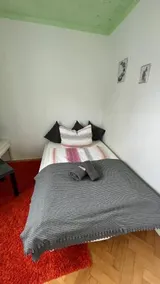 Ferienwohnung Frankenhäuser - Image 4