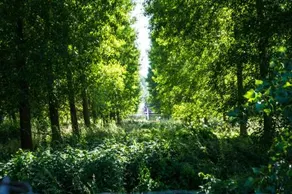 Het parkhuisje - Image 5