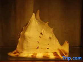 Lanshe weiyuan purple pottery art inn - Image 2