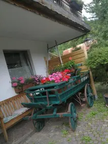 Country House Dolomiti - Image 4