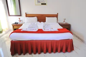 Hotel Rajgarh - Image 2