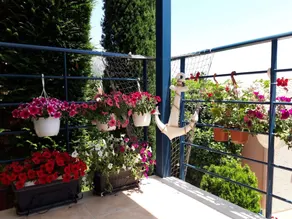 Cosy and Comfortable Beach House in Green Setting, North East Coast Corfu - Image 4