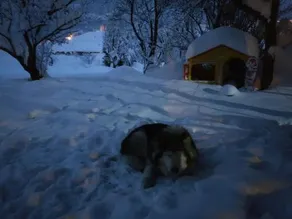Euroski Bed And Breakfast - Image 4