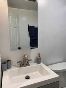 Fully remodeled 1 bedroom house with massive yard - Image 3