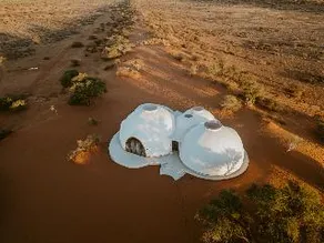 The Nest - Image 1
