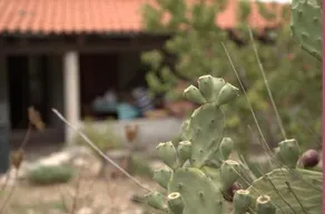 Bed And Breakfast Da Lucia - Image 3