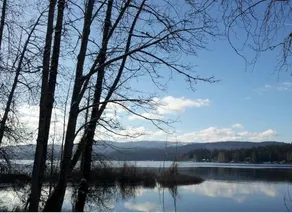 Shawnigan Lake Bed and Breakfast - Image 5